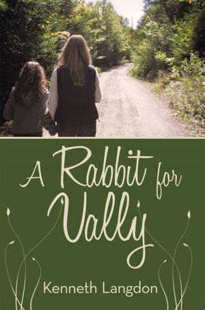 Cover of the book A Rabbit for Vally by Lisa Kaye Laurel