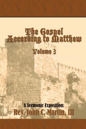 Cover of the book The Gospel According to Matthew Volume 3 by Martin Stone, Spencer Strauss