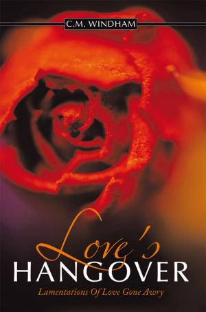 Cover of the book Love's Hangover by William J Breen Jr.