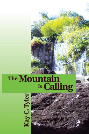 Cover of the book The Mountain Is Calling by DH Park