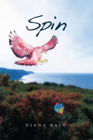 Cover of the book Spin by Holly Muir