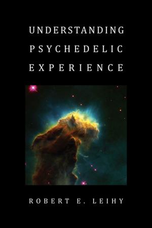 bigCover of the book Understanding Psychedelic Experience by 
