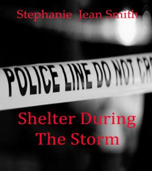 Book cover of Shelter During the Storm