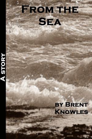 Cover of the book From the Sea by Antony W.F. Chow