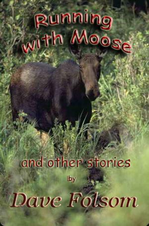 Cover of the book Running with Moose and Other Stories by David Macfie