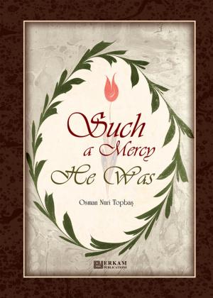 Cover of the book Such a Mercy He Was by Nedi Kaya Representing Volunteering For Families