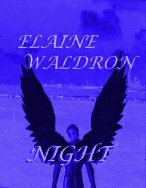 Cover of the book Night by Patrick Walston