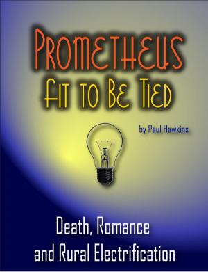 Cover of the book Prometheus Fit To Be Tied by Anne N Iwobi