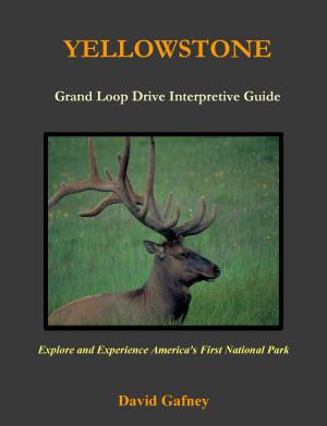 Cover of the book Yellowstone, Grand Loop Drive Interpretive Guide by Al Moe