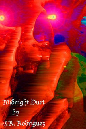 Cover of the book Midnight Duet by Petra Ivanov