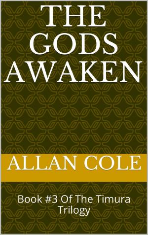 Cover of the book The Gods Awaken by Shakyra Dunn