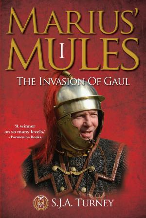 Book cover of Marius' Mules: The Invasion of Gaul