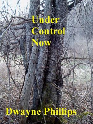 Cover of the book Under Control Now by Brandon McMahon