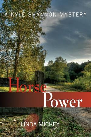 Cover of the book Horse Power: A Kyle Shannon Mystery by Deborah Diaz
