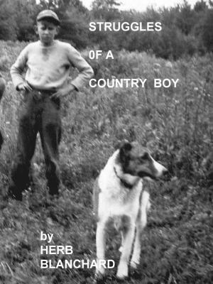 Book cover of Struggles of a Country boy