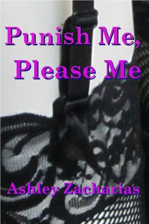 Book cover of Punish Me, Please Me
