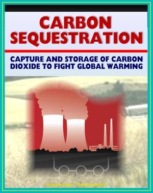 Cover of the book 21st Century Guide to Carbon Sequestration: Capture and Storage to Fight Global Warming and Control Greenhouse Gases, Carbon Dioxide, Coal Power, Technology Roadmap and Program Plan by B J Richards
