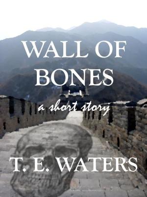Cover of the book Wall of Bones by Jeff Smith