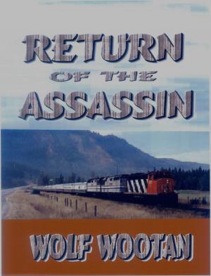 Book cover of Return of the Assassin