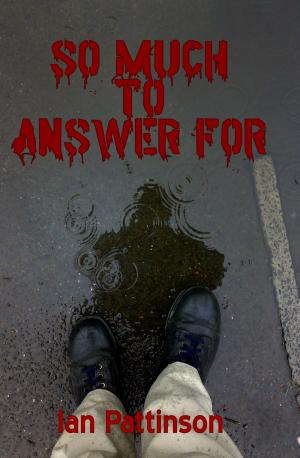 Book cover of So Much To Answer For