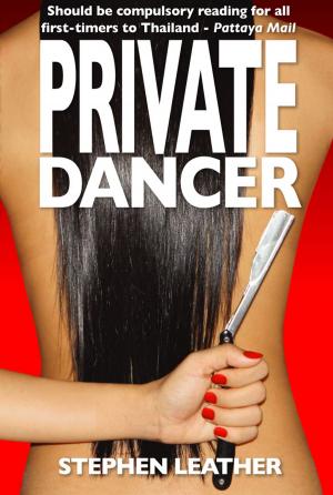 Cover of the book Private Dancer by Ember Fane