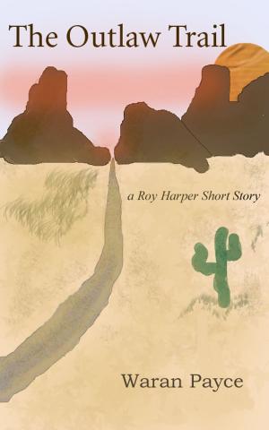 Book cover of The Outlaw Trail