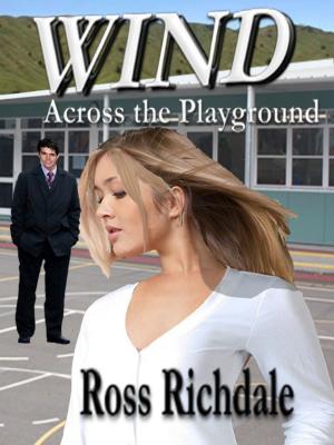 Book cover of Wind Across The Playground