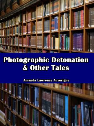Cover of the book Photographic Detonation & Other Tales by Amanda Wilhelm