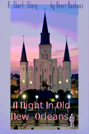Book cover of A Night In Old New Orleans