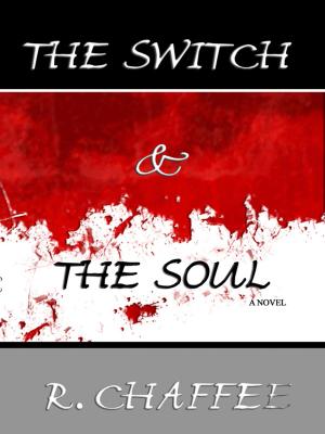 Cover of the book The Switch and the Soul by Matthew Davenport