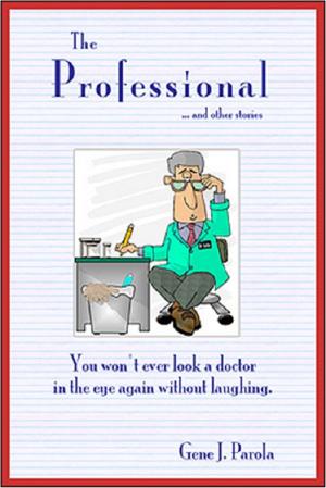 Book cover of The Professional and other stories you'll relate to.