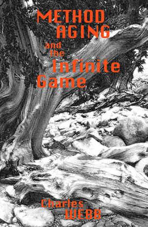 Book cover of Method Aging and The Infinite Game