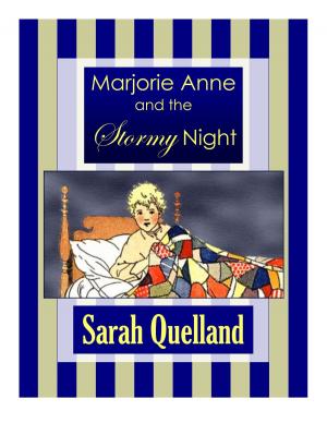Cover of the book Marjorie Anne and the Stormy Night by Gabe Sluis