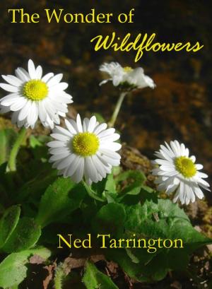 Cover of the book The Wonder of Wildflowers by Ned Tarrington