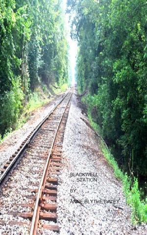 Cover of Blackwell Station