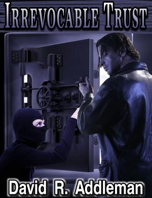 Cover of the book Irrevocable Trust by Kevin Ansbro