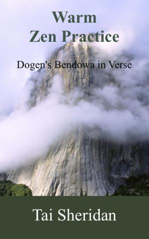 Cover of the book Warm Zen Practice: A poetic version of Dogen's Bendowa by Tai Sheridan, Ph.D.