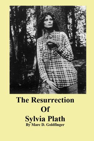 Cover of the book The Resurrection of Sylvia Plath by Gaspar Aguilera