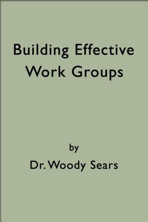 Cover of Building Effective Work Groups