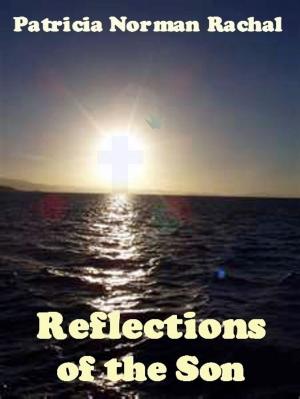 Book cover of Reflections of the Son
