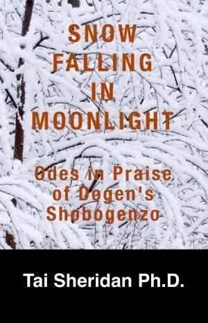 Book cover of Snow Falling in Moonlight: Odes in Praise of Dogen's Shobogenzo