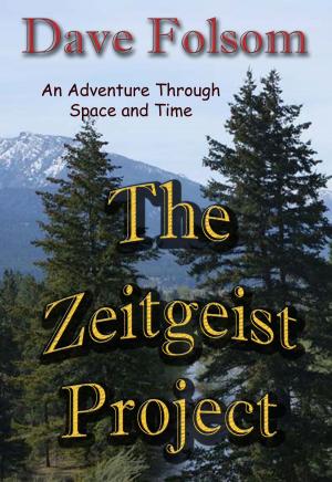 Book cover of The Zeitgeist Project