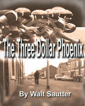 Cover of the book The Three Dollar Phoenix by Shirley Glynn