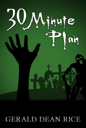 Cover of the book 30 Minute Plan by Joseph A. Noon