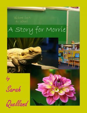 Cover of the book A Story for Morrie by Kirsty Murray
