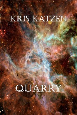 Cover of the book Quarry by JJ Toner