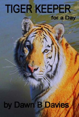 Cover of the book Tiger Keeper for a Day by Dawn B Davies
