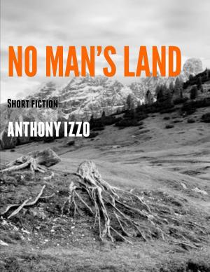 Cover of the book No Man's Land by Carol Van Natta, Ann Harbour