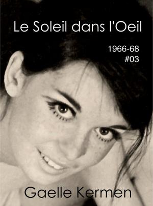 Book cover of Le Soleil dans l'Oeil