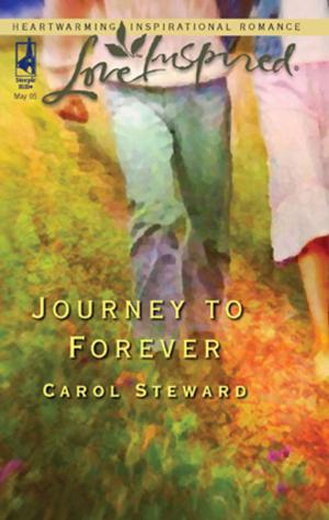 Book cover of Journey to Forever